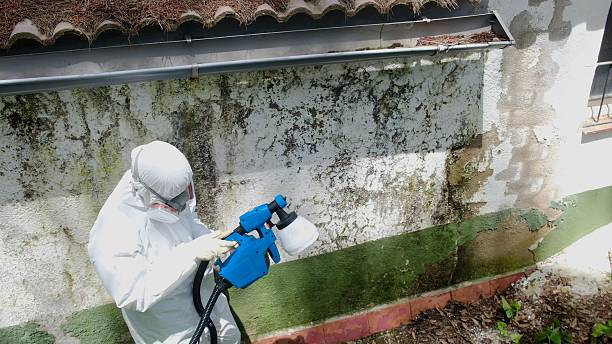 Trusted Commercial Mold Remediation service in Andover, MA - Cheap Mold Removal